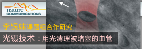 李银妹课题组光镊技术