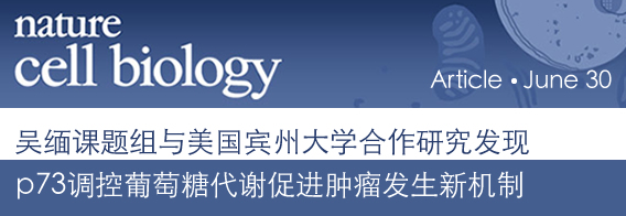 p73调控葡萄糖代谢促进肿瘤发生新机制
