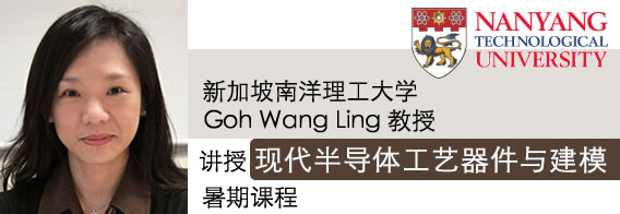 新加坡南洋理工大学教授Goh Wang Ling