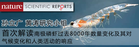 孙立广黄涛：首次解读南极磷虾过去8000年数量变化及其对气候变化和人类活动的响应