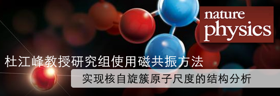 磁共振方法实现核自旋簇原子尺度的结构分析