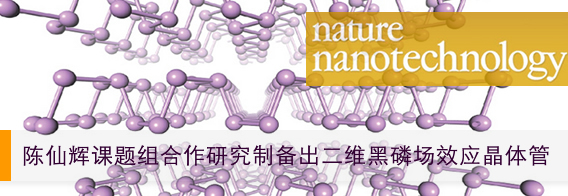 陈仙辉课题组合作研究制备出二维黑磷场效应晶体管