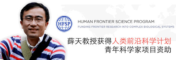 薛天教授获得“人类前沿科学计划”青年科学家项目资助