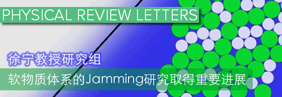 徐宁研究组软物质体系的Jamming研究取得重要进展