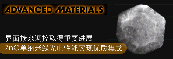界面掺杂调控取得重要进展：ZnO单纳米线光电性能实现优质集成