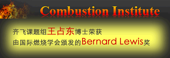 我校研究人员荣获国际燃烧学会Bernard Lewis奖