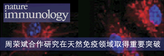 中国科大在天然免疫领域取得重要突破