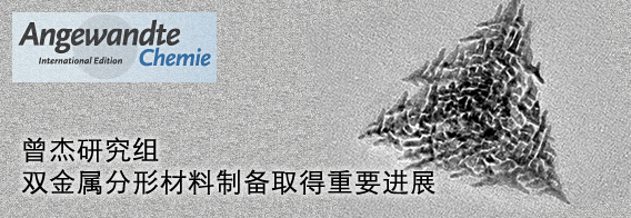 双金属分形材料制备取得重要进展