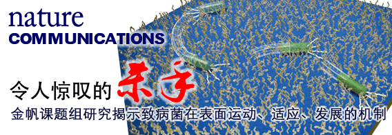 令人惊叹的“杀手”——中国科大研究揭示致病菌在表面运动、适应、发展的机制