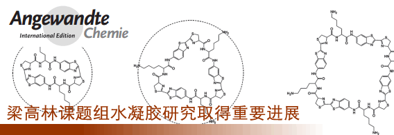 水凝胶研究取得重要进展