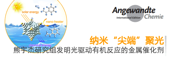 纳米“尖端”聚光:熊宇杰研究组发明光驱动有机反应的金属催化剂