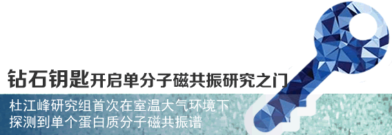 “钻石钥匙”开启单分子磁共振研究之门 中国科大首次在室温大气环境下探测到单个蛋白质分子磁共振谱