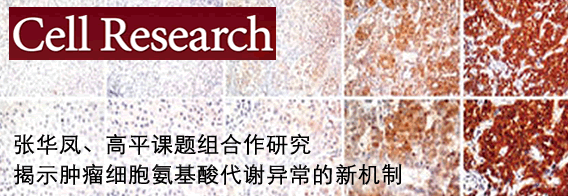 张华凤、高平合作研究揭示肿瘤细胞氨基酸代谢异常的新机制
