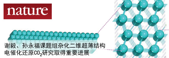 杂化二维超薄结构电催化还原CO2研究取得重要进展