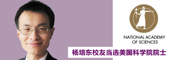 杨培东校友当选美国科学院院士