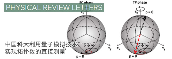 中国科大利用量子模拟技术实现拓扑数的直接测量