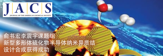 俞书宏李震宇新型多形体硫化物半导体纳米异质结设计合成获得成功