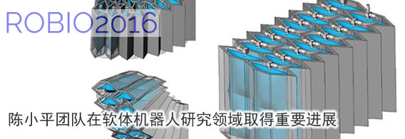 中国科大在软体机器人研究领域取得重要进展