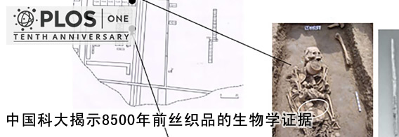 中国科大揭示8500年前丝织品的生物学证据