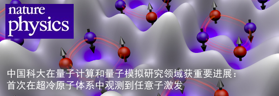 中国科大在量子计算和量子模拟研究领域获重要进展：首次在超冷原子体系中观测到任意子激发