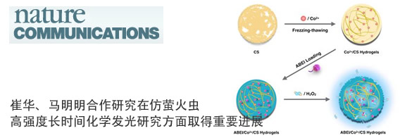 中国科大在仿萤火虫高强度长时间化学发光研究方面取得重要进展