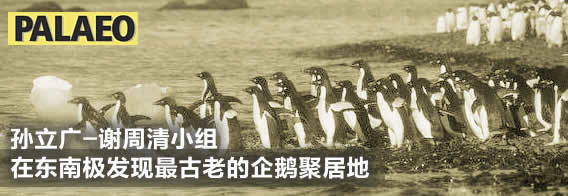 孙立广-谢周清小组在东南极发现最古老的企鹅聚居地