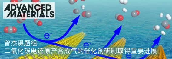 二氧化碳电还原产合成气的催化剂研制取得重要进展