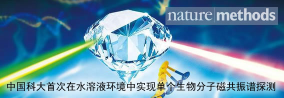 中国科大首次在水溶液环境中实现单个生物分子磁共振谱探测