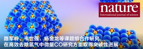 路军岭、韦世强、杨金龙合作研究在高效去除氢气中微量CO研究方面取得突破性进展