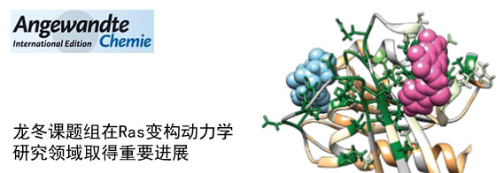 龙冬课题组在Ras変构动力学研究领域取得重要进展
