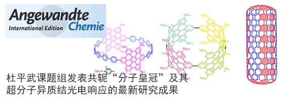 杜平武课题组发表关于共轭“分子皇冠”及其超分子异质结光电响应的最新研究成果