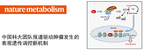 中国科大团队报道驱动肿瘤发生的表观遗传调控新机制