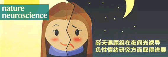 薛天课题组在夜间光诱导负性情绪研究方面取得进展