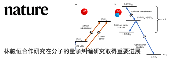 林毅恒合作研究在分子的量子纠缠研究取得重要进展