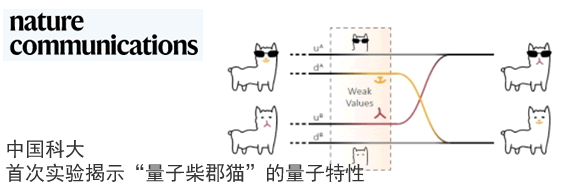 中国科大首次实验揭示“量子柴郡猫”的量子特性量