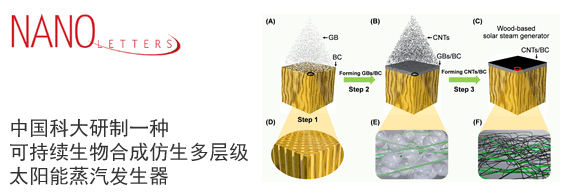 中国科大研制一种可持续生物合成仿生多层级太阳能蒸汽发生器